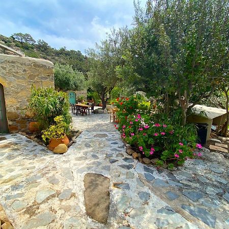 Natura Cottages Makrýgialos Buitenkant foto