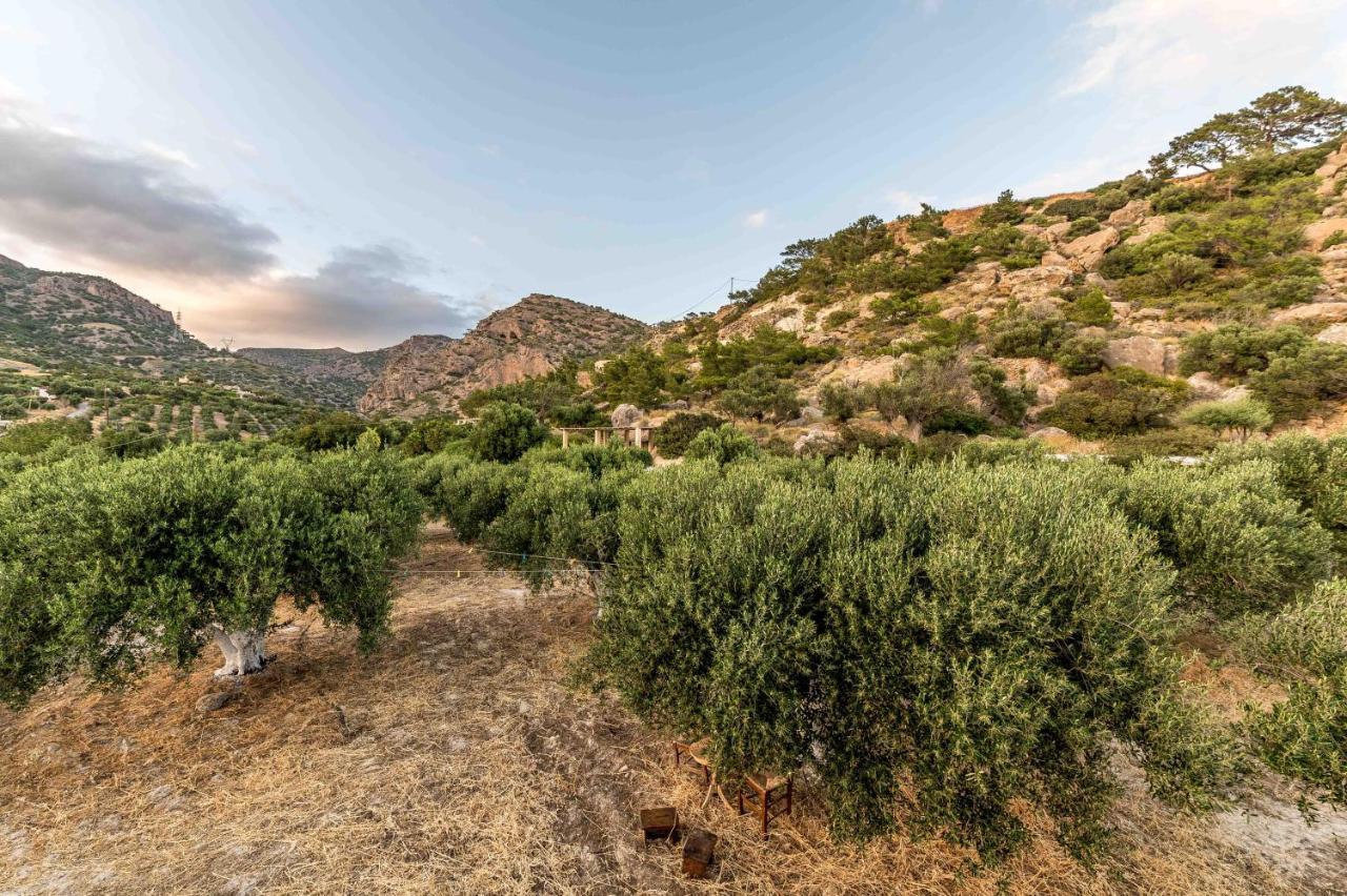 Natura Cottages Makrýgialos Buitenkant foto
